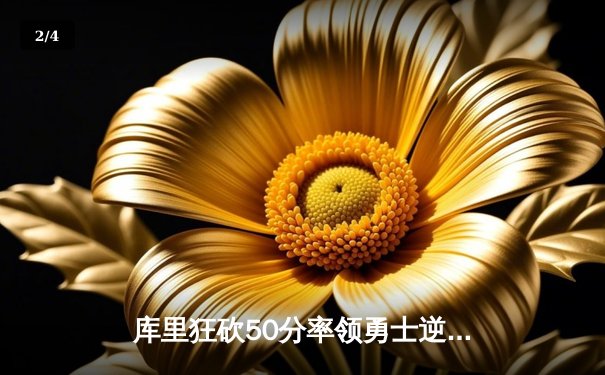 库里狂砍50分率领勇士逆转独行侠，西部决赛G2上演惊天翻盘 - 2